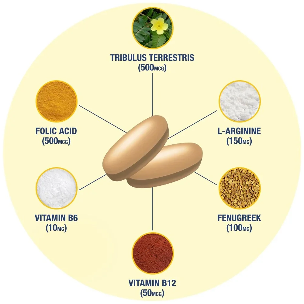 Testrol Gold ES | 60 قرصاً | معزز تستوستيرون